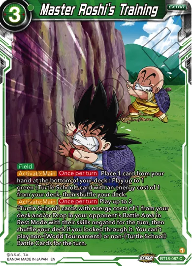 MASTER ROSHI'S TRAINING