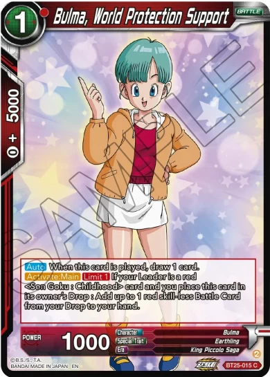 BULMA, WORLD PROTECTION SUPPORT