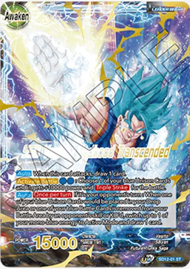 SSB VEGITO, GODHOOD TRANSCENDED