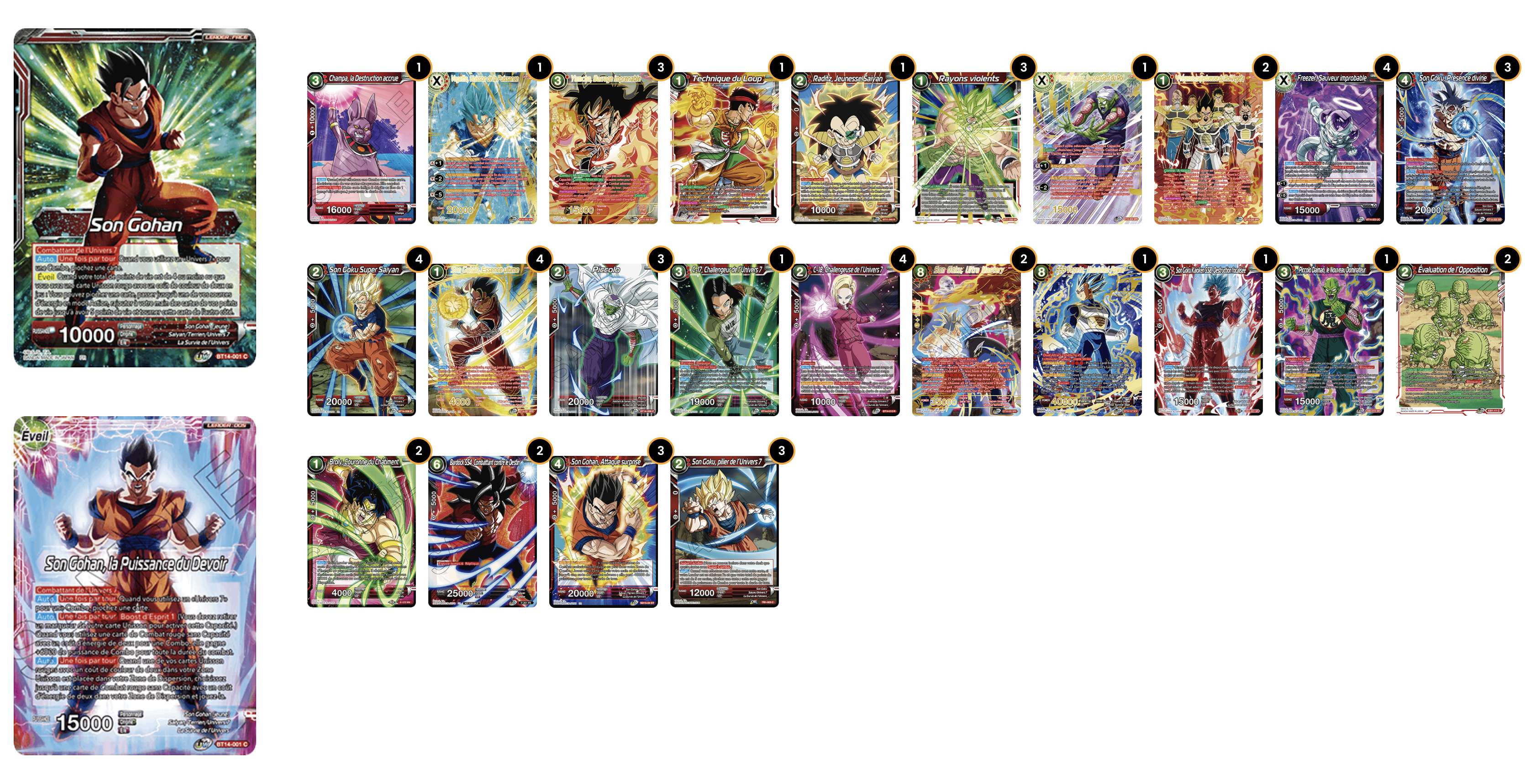 Decklist de Ryan Roubinet